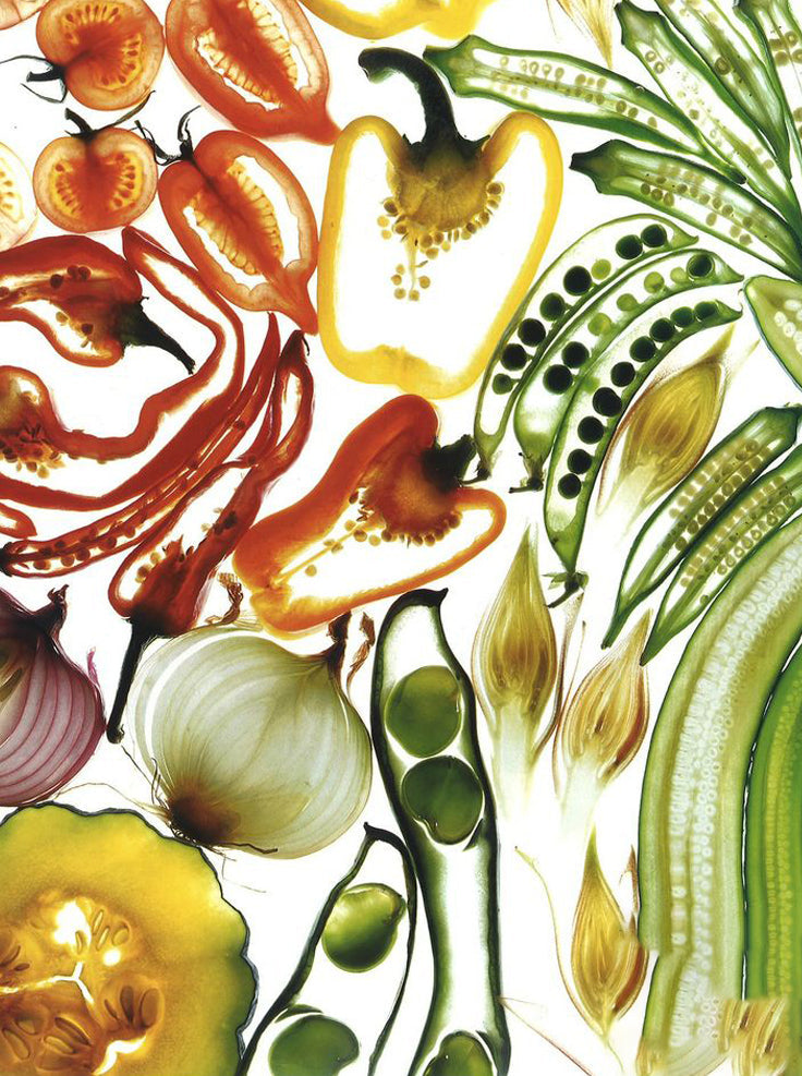 FERMENTASYON: YAŞAYAN BESİNLERİN BİLİMİ
