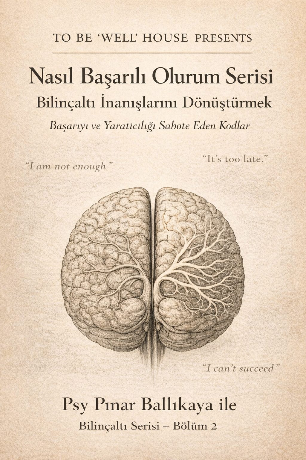 Nasıl Başarılı Olurum Serisi - Başarıyı ve Yaratıcılığı Kısıtlayan İnanışlar