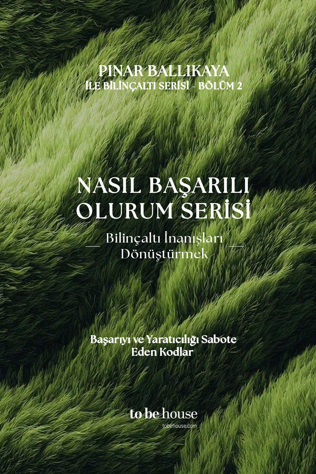 How to Become Successful Series - PSY Pınar Ballıkaya