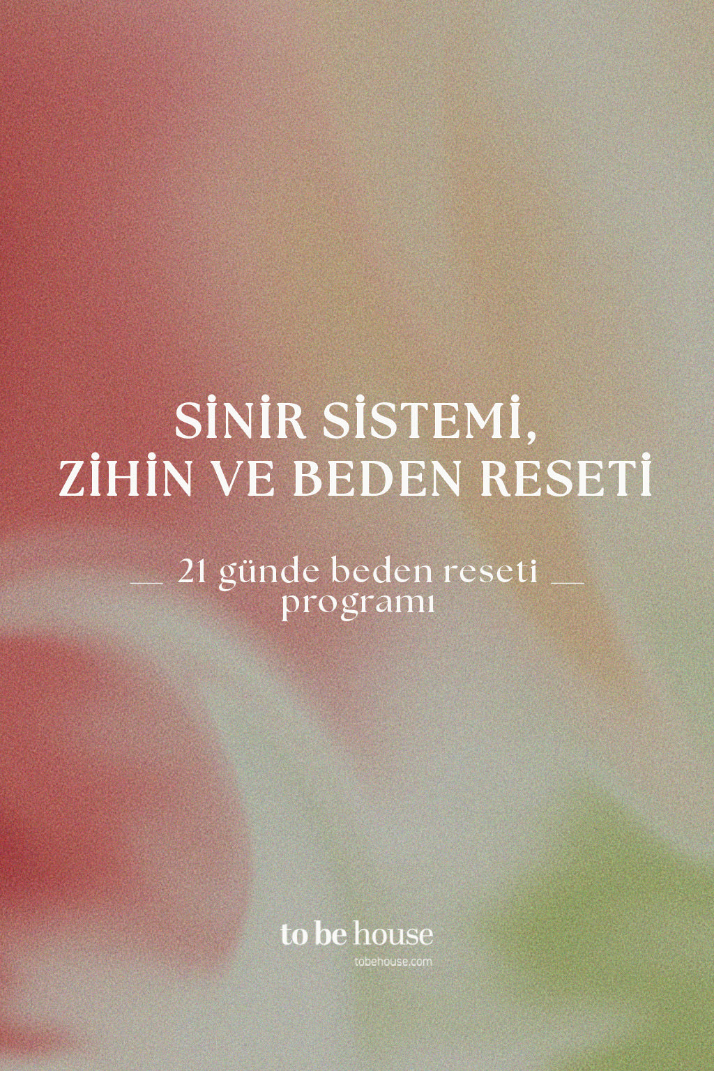 21 Days – Nervous System Reset